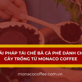 Giải pháp tái chế bã cà phê dành cho cây trồng từ Monaco Coffee
