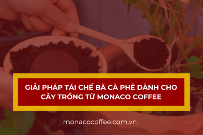 Giải pháp tái chế bã cà phê dành cho cây trồng từ Monaco Coffee