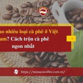 Có bao nhiêu loại cà phê ở Việt Nam? Cách trộn cà phê ngon nhất