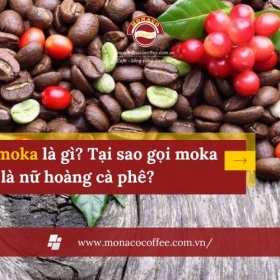 Cà phê moka là gì? Tại sao gọi moka là nữ hoàng cà phê?