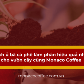 Cách ủ bã cà phê làm phân hiệu quả nhất cho vườn cây