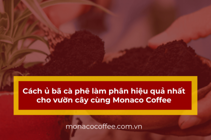 Cách ủ bã cà phê làm phân hiệu quả nhất cho vườn cây