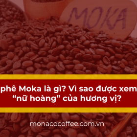 Cà phê Moka là gì? Vì sao được xem là “nữ hoàng” của hương vị?