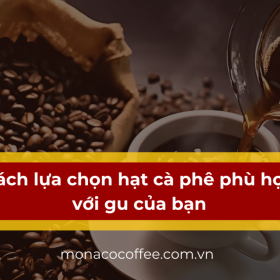 Cách lựa chọn hạt cà phê phù hợp với gu của bạn