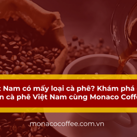 Việt Nam có mấy loại cà phê? Khám phá đặc sản cà phê Việt Nam cùng Monaco Coffee