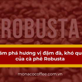 Khám phá hương vị đậm đà, khó quên của cà phê Robusta
