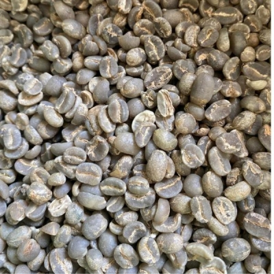 Vietnam Specialty Arabica Moka S16+