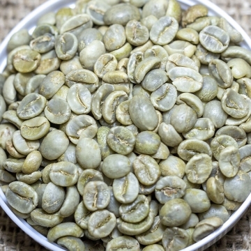 Vietnamese Arabica Green Coffee Beans