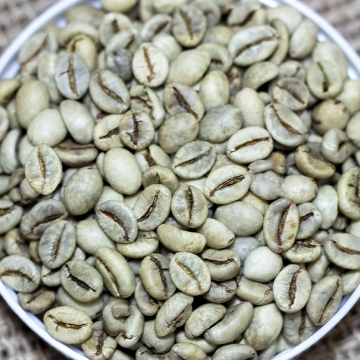 Vietnamese Robusta Green Coffee Beans